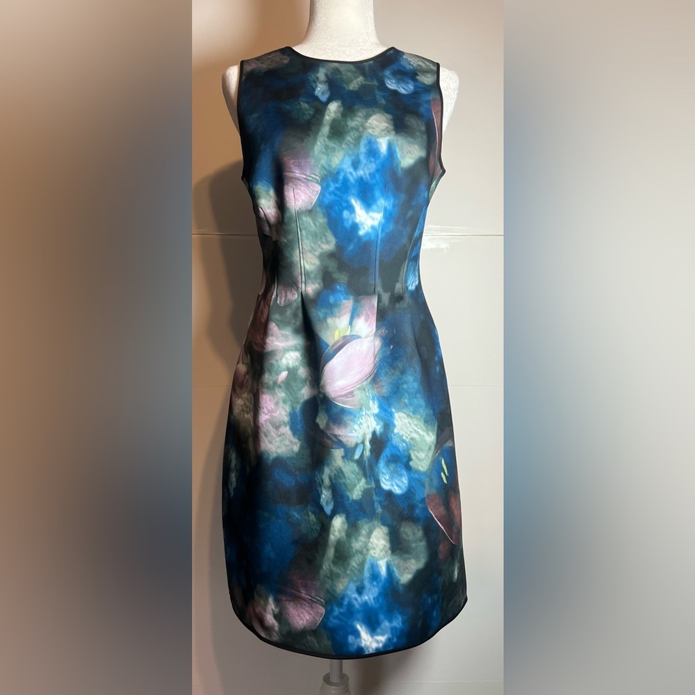 WHBM Abstract Floral Sheath Dress Size 6 Sleeveless V Back Zip Cocktail